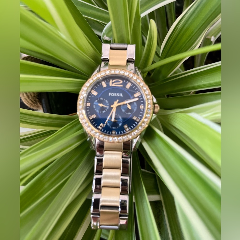 Fossil watch